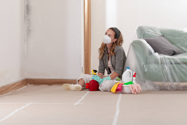Reliable Basement Mold Remediation contractor in Dameron, MD by WQB Mold Removal